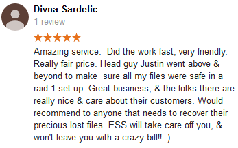 Divna Sardelic review